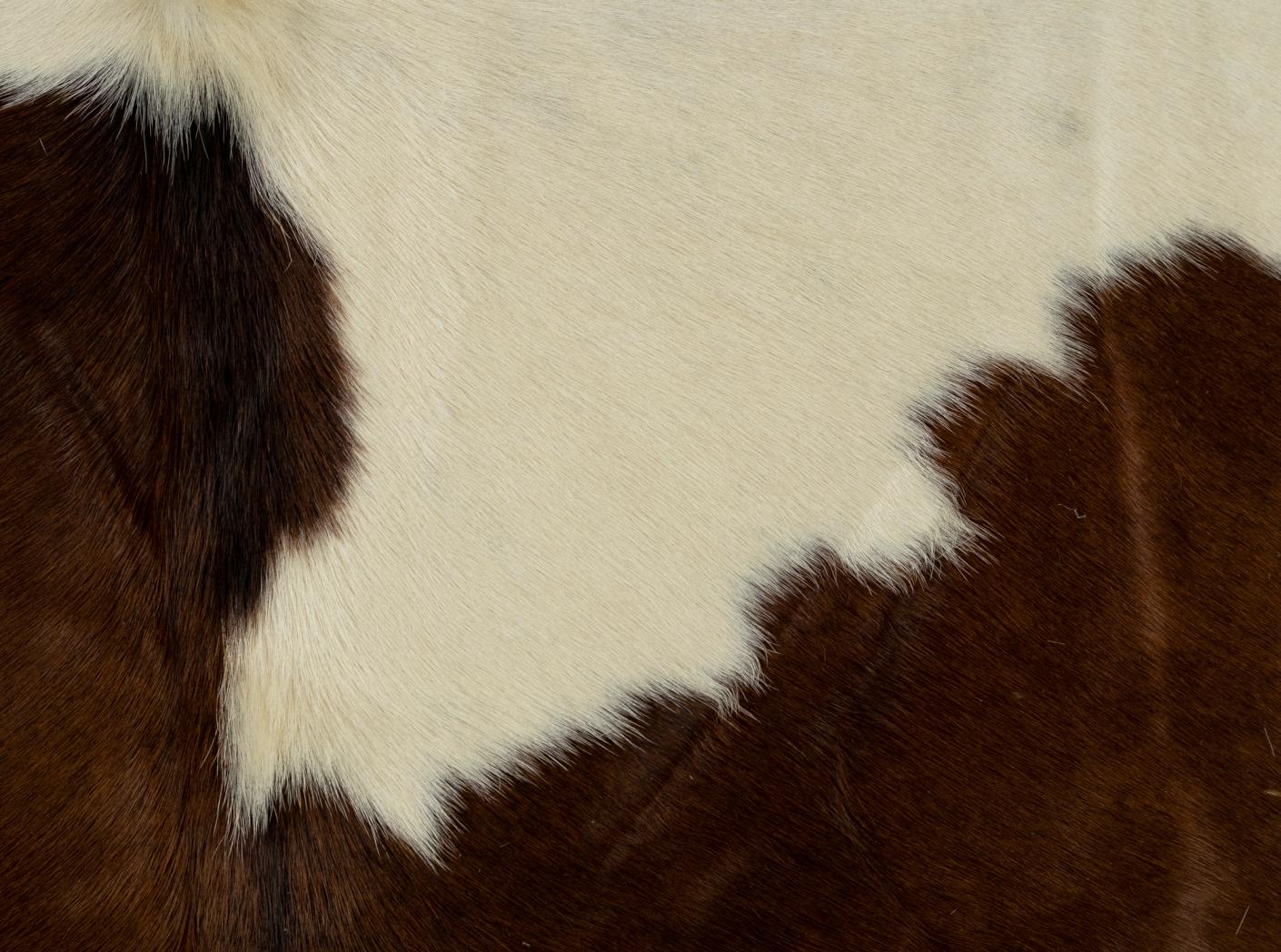 Lehmanahk karvane pruun/valge Lehmanahk karvane pruun/valge