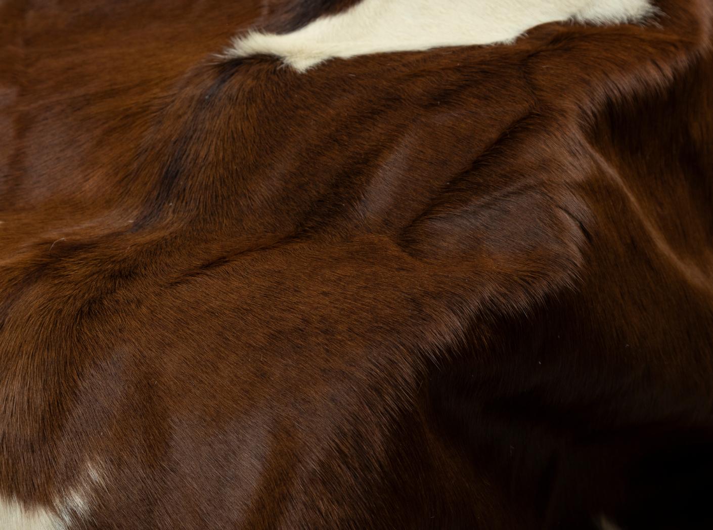 Lehmanahk karvane pruun/valge Lehmanahk karvane pruun/valge