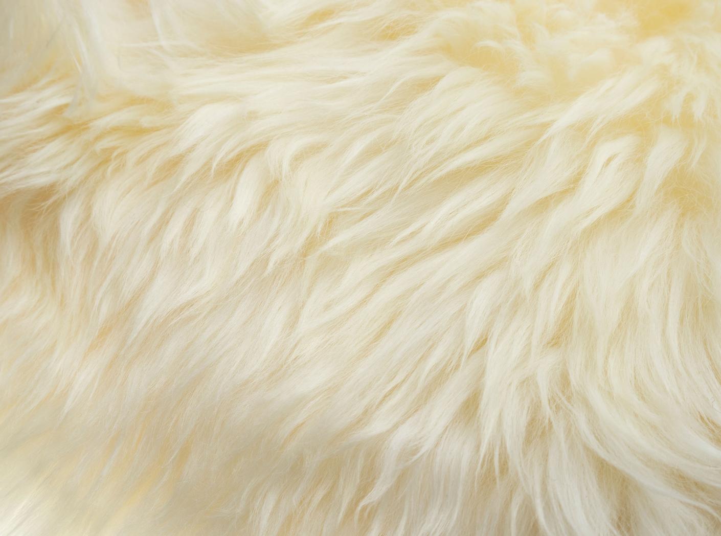 Dekoratiiv lambanahk c:a 1,1 m2 Valge Dekoratiiv lambanahk c:a 1,1 m2 Valge