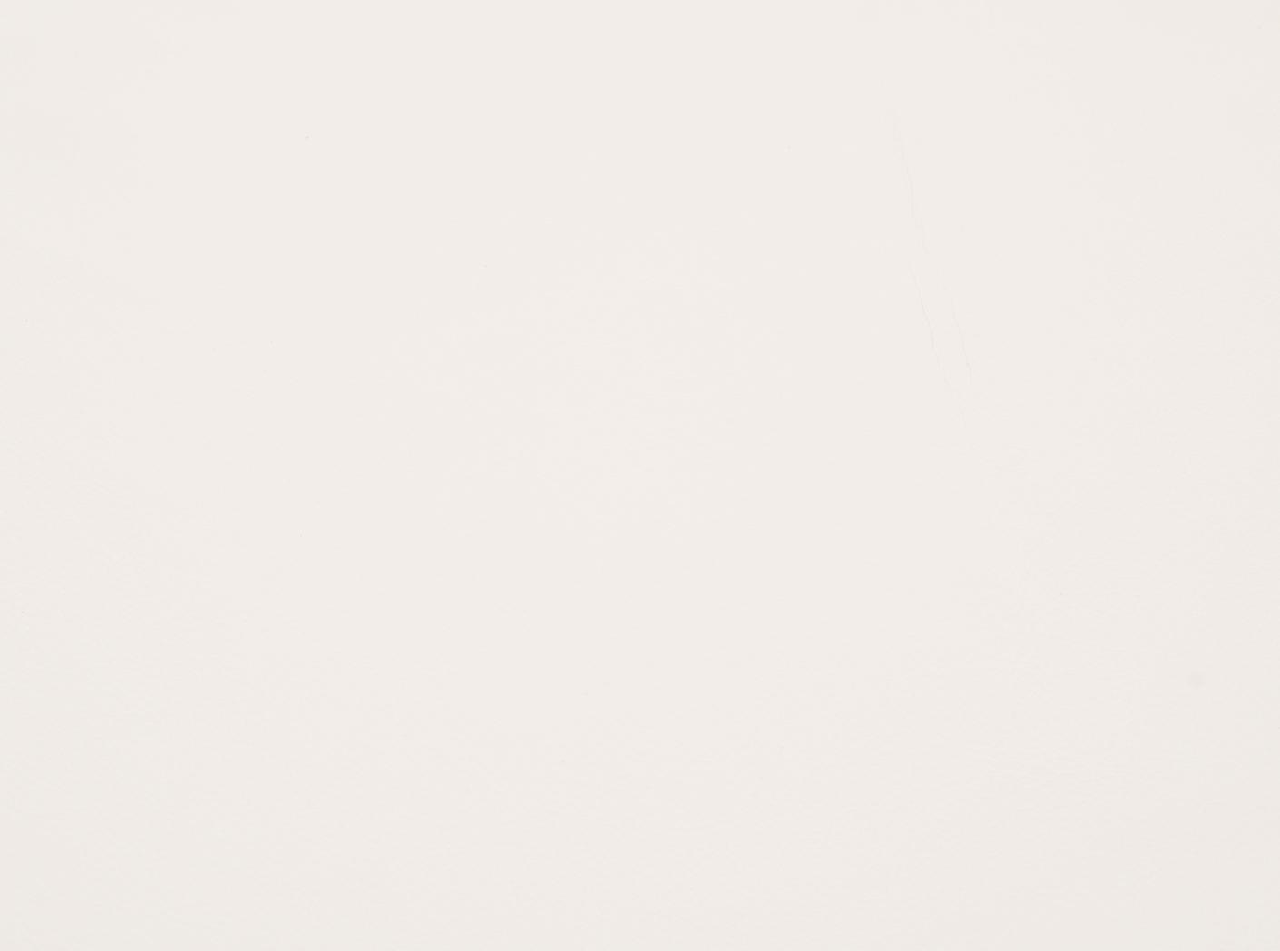 Mööblinahk Challenger eggshell 020 Mööblinahk Challenger eggshell 020