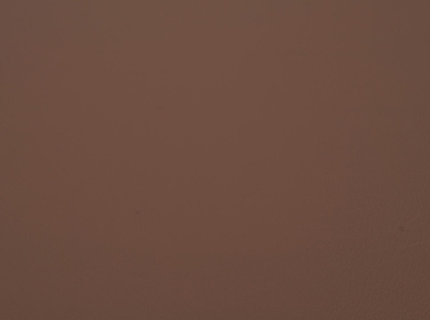 Mööblinahk Challenger latte 066 Mööblinahk Challenger latte 066