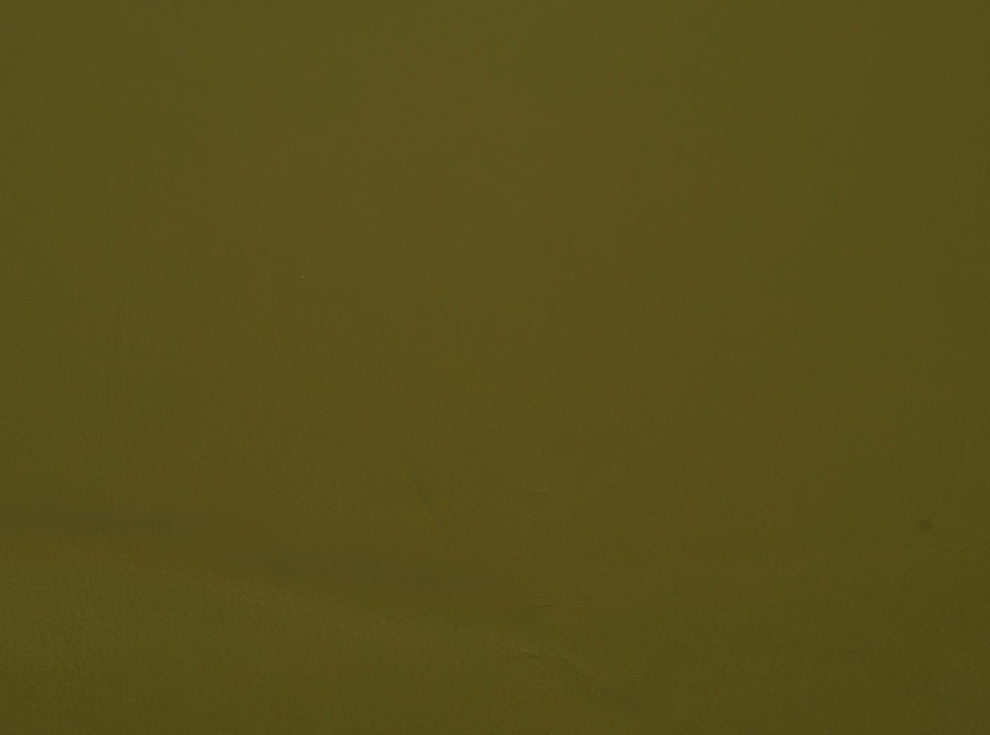 Mööblinahk Challenger olive 003 Mööblinahk Challenger olive 003