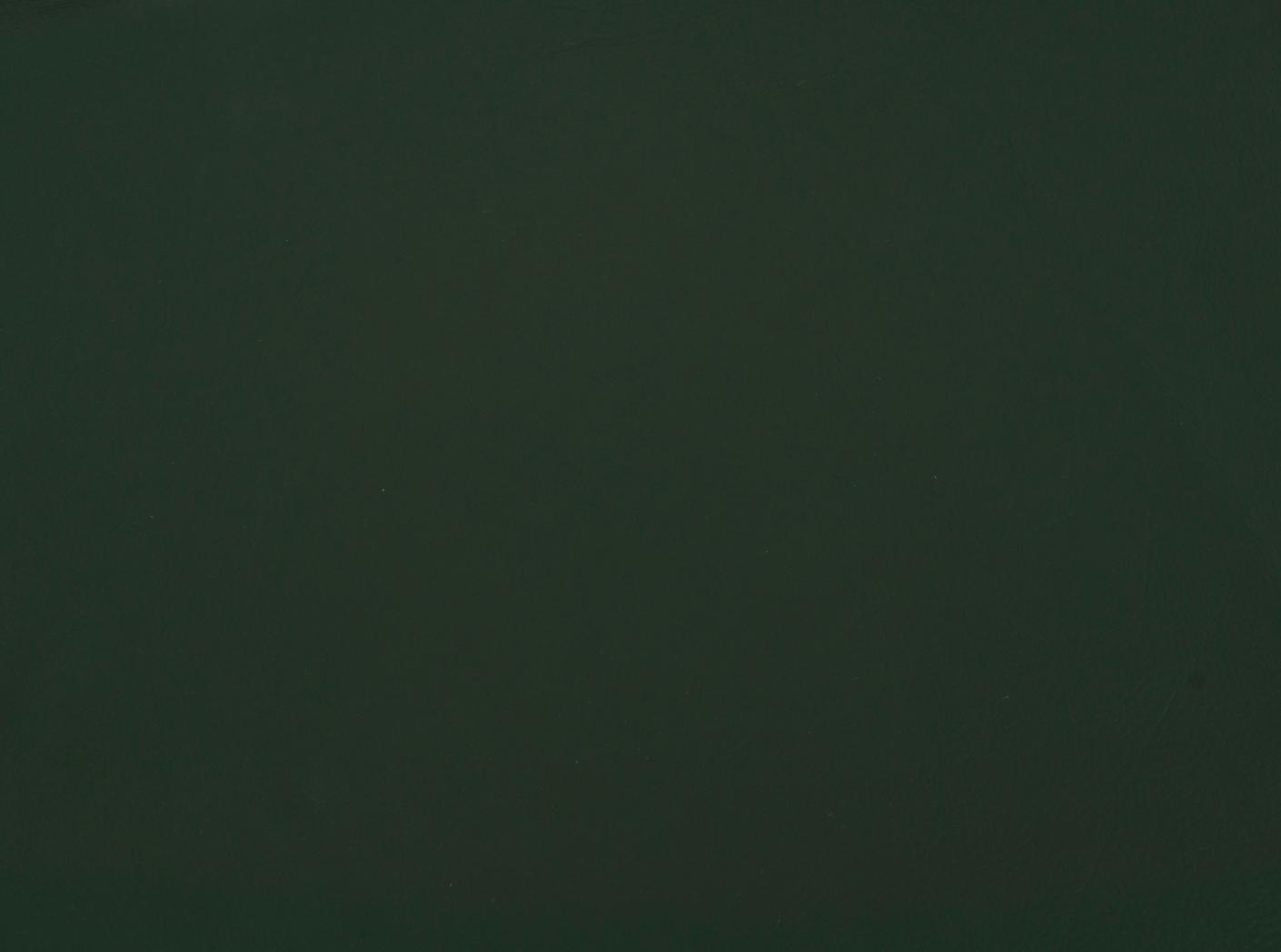 Mööblinahk Challenger dark green 013 Mööblinahk Challenger dark green 013