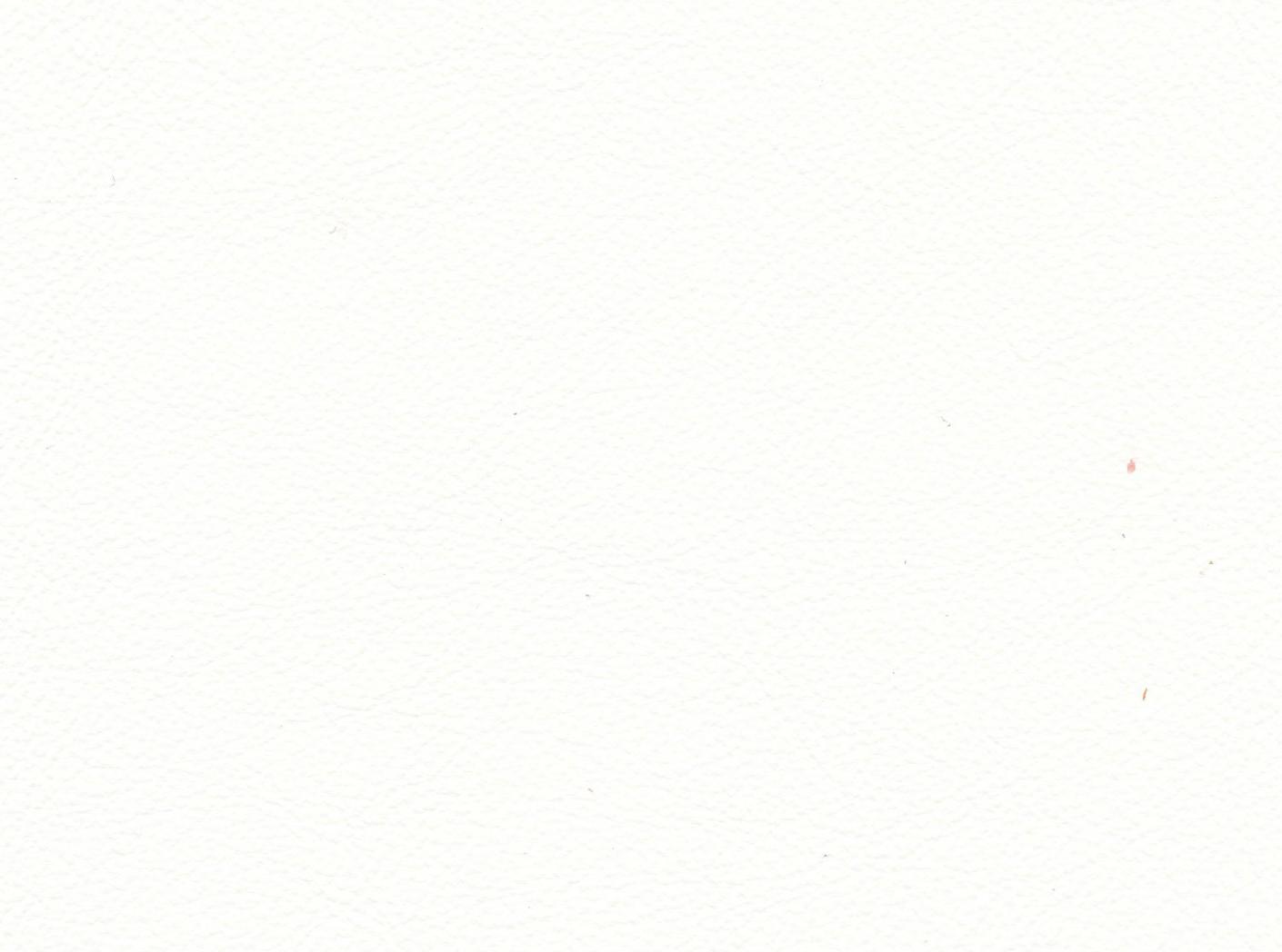 Mööblinahk Linea 634 Gesso (R) Mööblinahk Linea 634 Gesso (R)