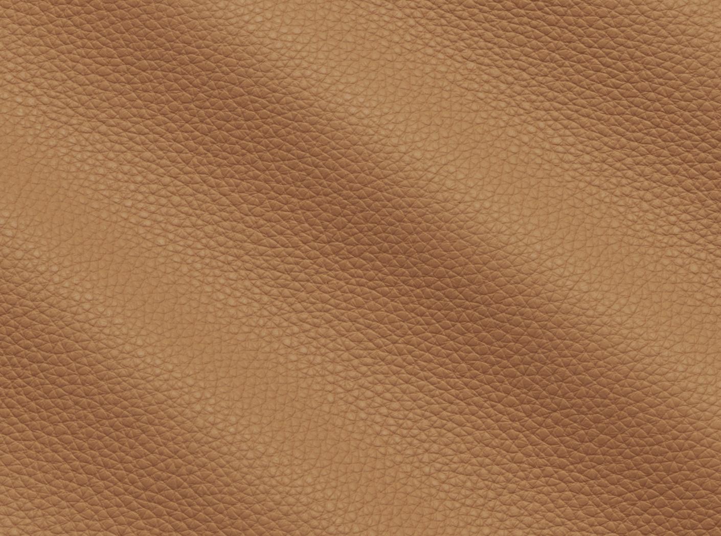 Mööblinahk Prescott EU 221 Lion Mööblinahk Prescott EU 221 Lion