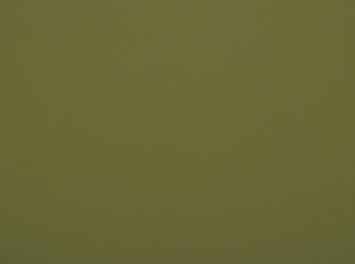 Mööblinahk Linea 685 aloe Mööblinahk Linea 685 aloe