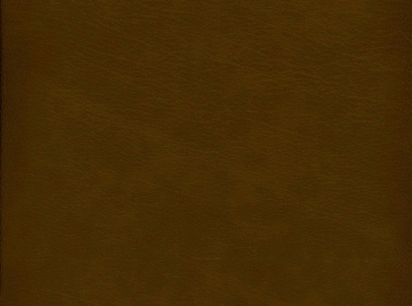 PVC Lambada PVC Lambada