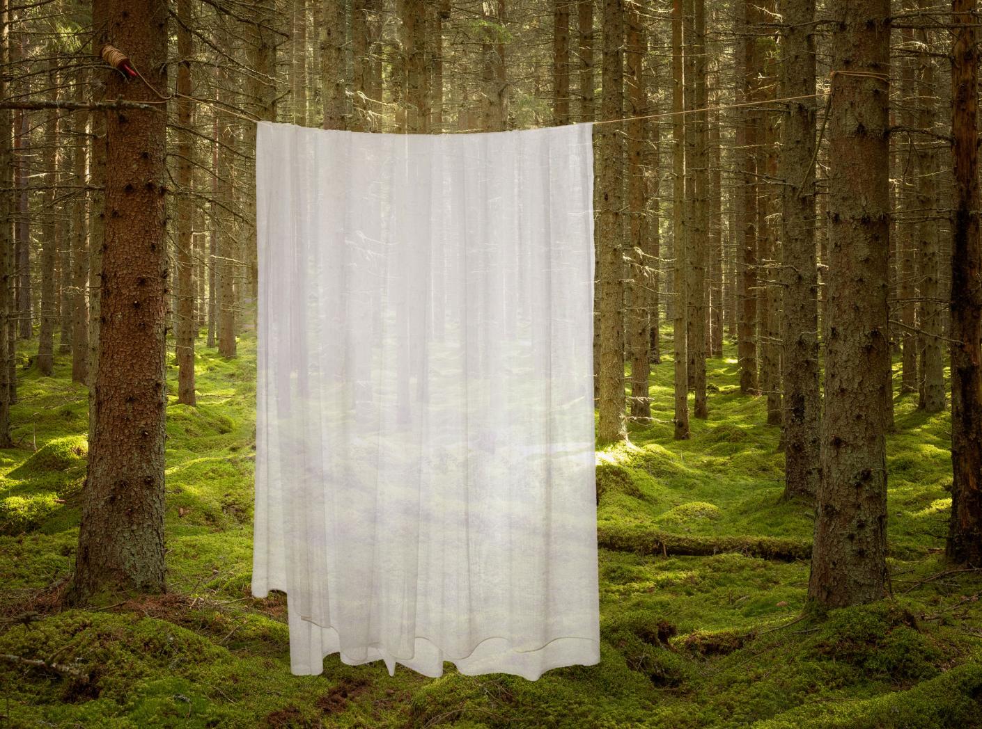 Kardinakangas Bari FR 002 Natural 300 cm Kardinakangas Bari FR 002 Natural 300 cm