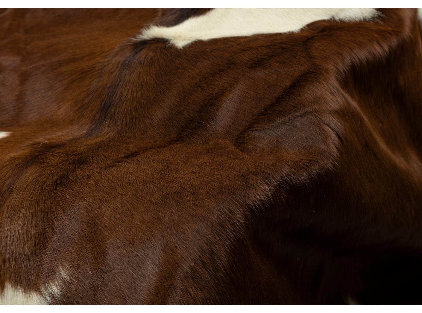 Lehmanahk karvane pruun/valge Lehmanahk karvane pruun/valge