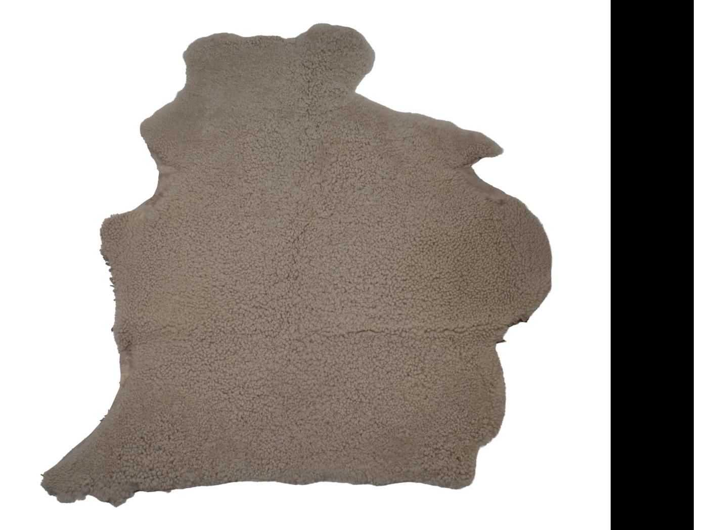 Lambanahk Canberra Moonlight Lambanahk Canberra Moonlight