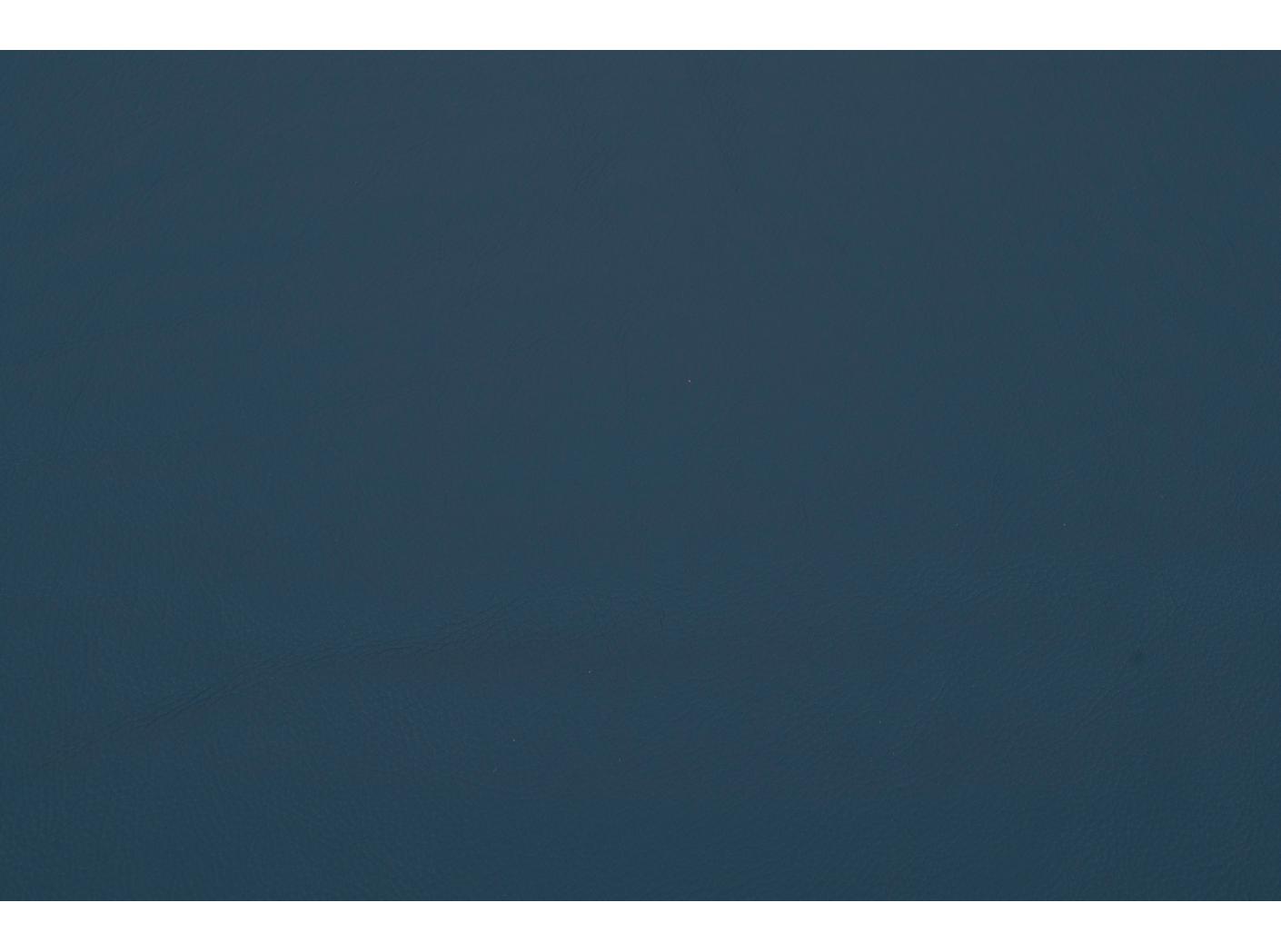 Mööblinahk Challenger baltic 043 Mööblinahk Challenger baltic 043