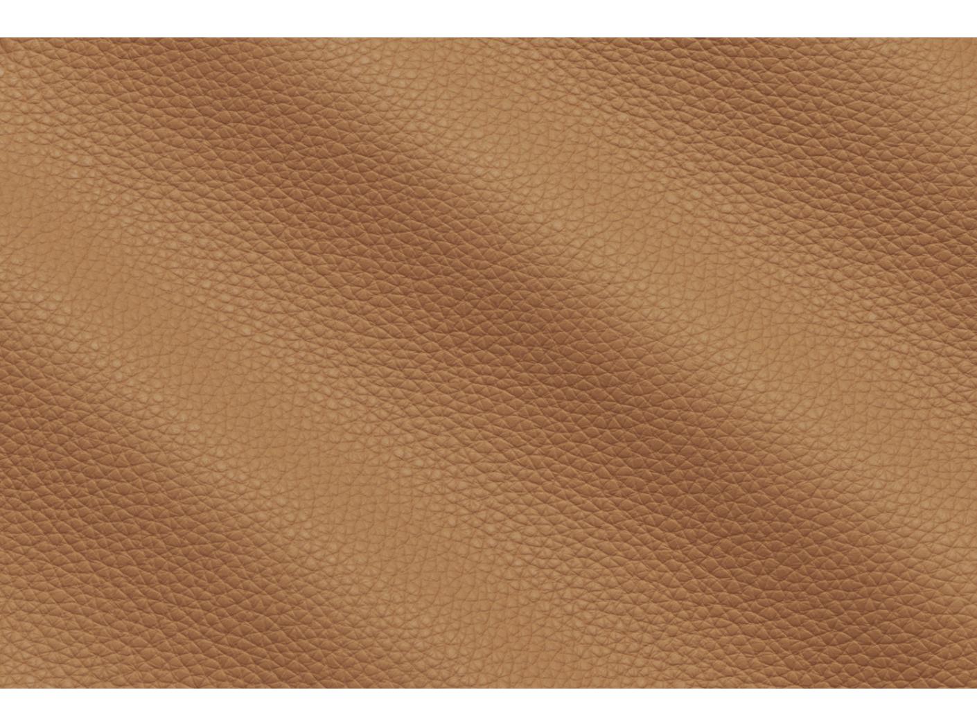 Mööblinahk Prescott EU 221 Lion Mööblinahk Prescott EU 221 Lion