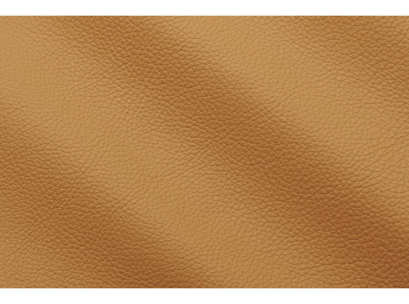 Mööblinahk Prescott EU 251 Carioca Mööblinahk Prescott EU 251 Carioca