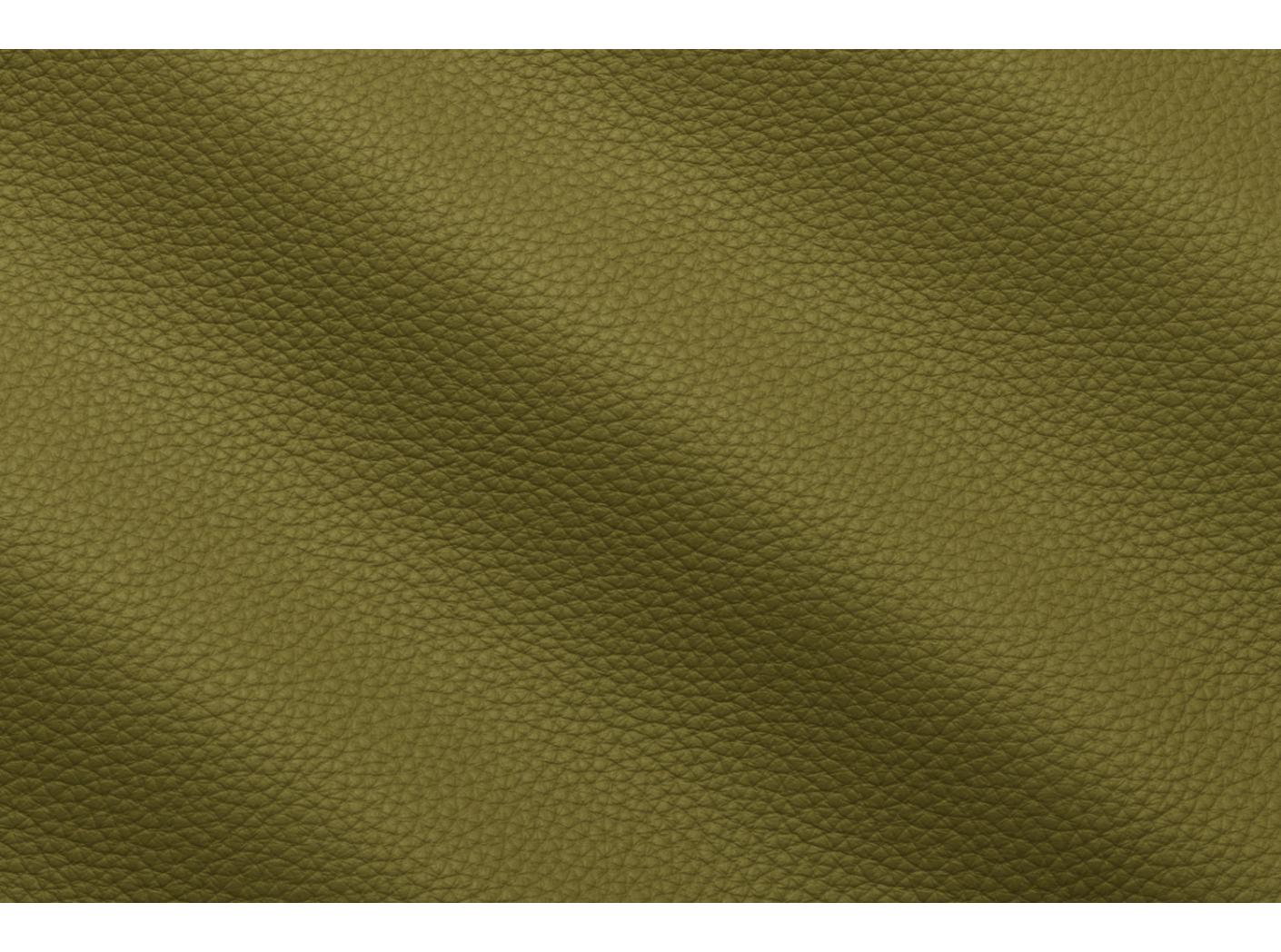 Mööblinahk Prescott EU 256 Aloe Mööblinahk Prescott EU 256 Aloe