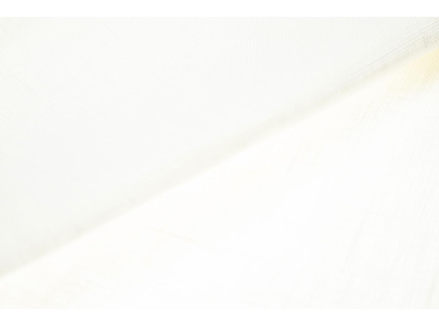 Linane kangas 150-245 Valge Linane kangas 150-245 Valge