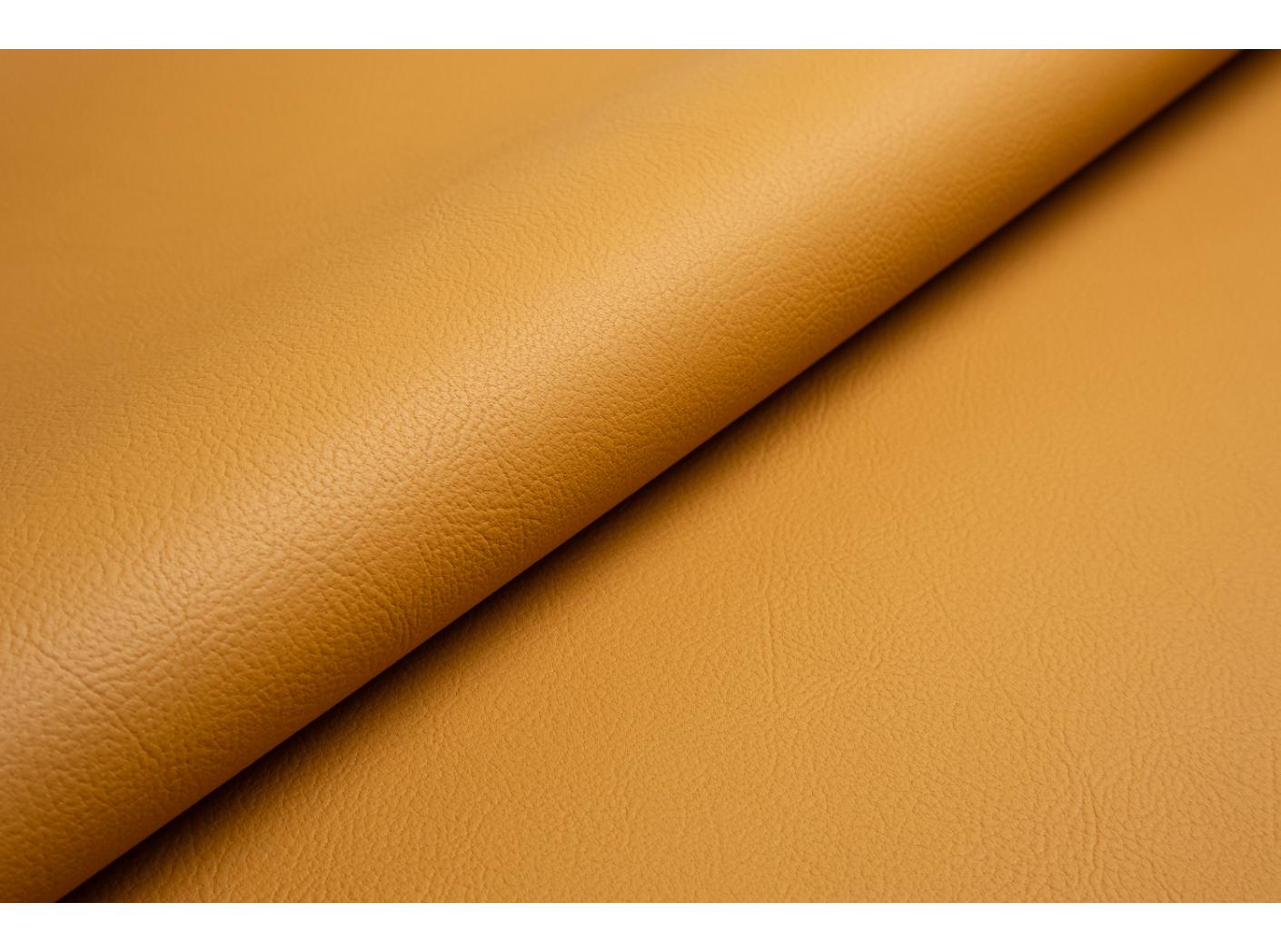 Kunstnahk Pallas 021608 Nature Kunstnahk Pallas 021608 Nature