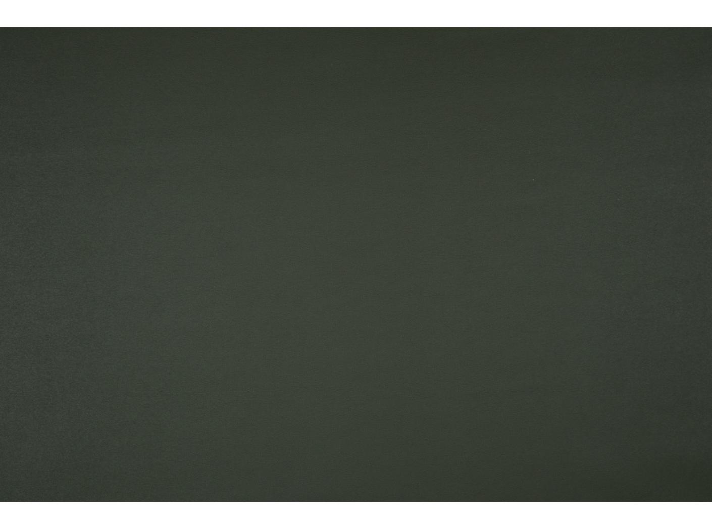 Kunstnahk Pallas 021606 Taiga Kunstnahk Pallas 021606 Taiga