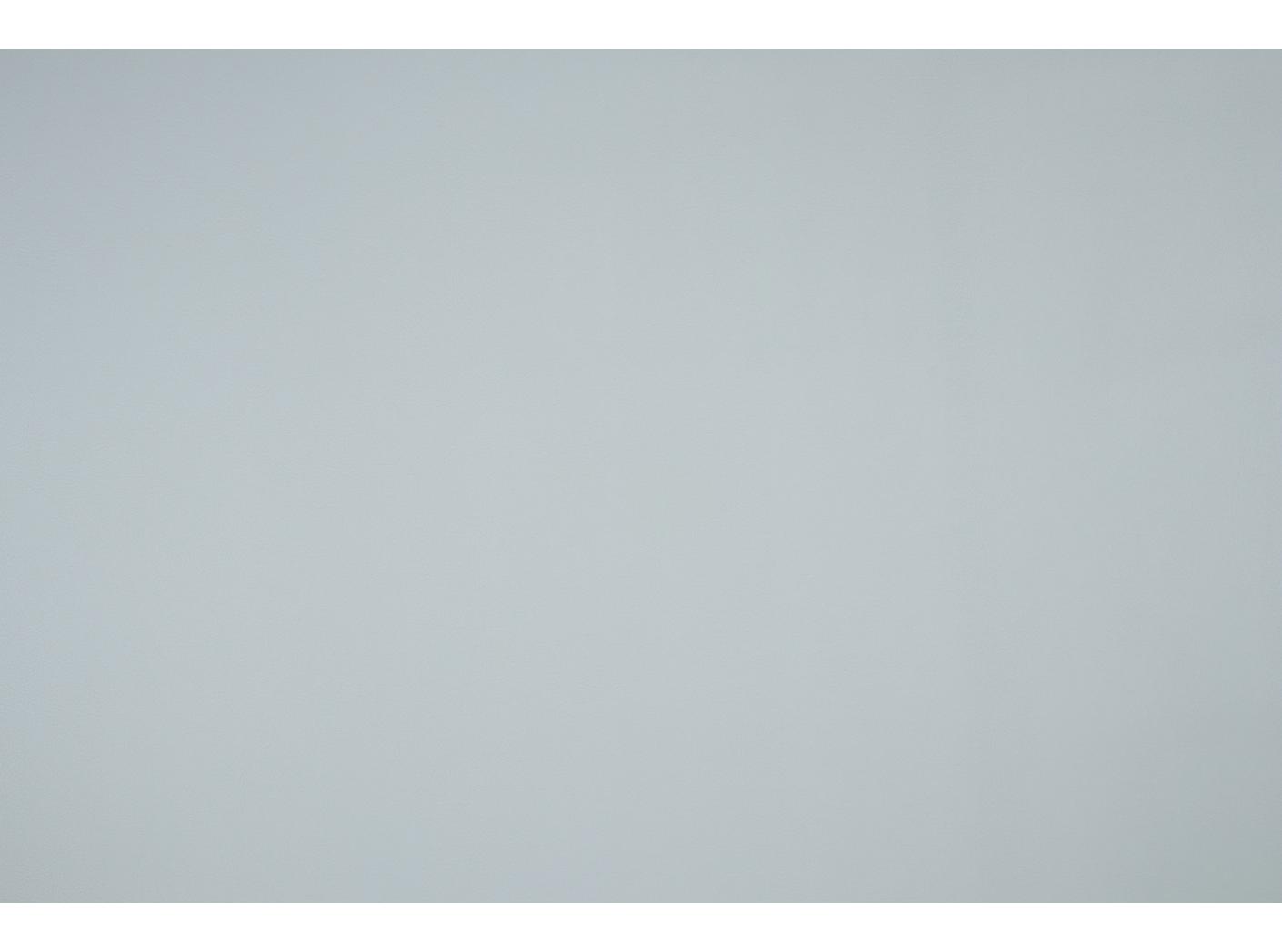 Kunstnahk Pallas 021609 Granite Kunstnahk Pallas 021609 Granite