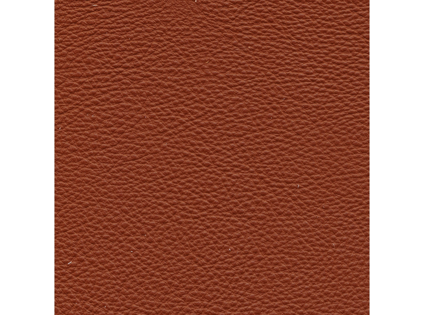 Mööblinahk Prescott SA 289 Hezelnut Oeko-Tex Mööblinahk Prescott SA 289 Hezelnut Oeko-Tex