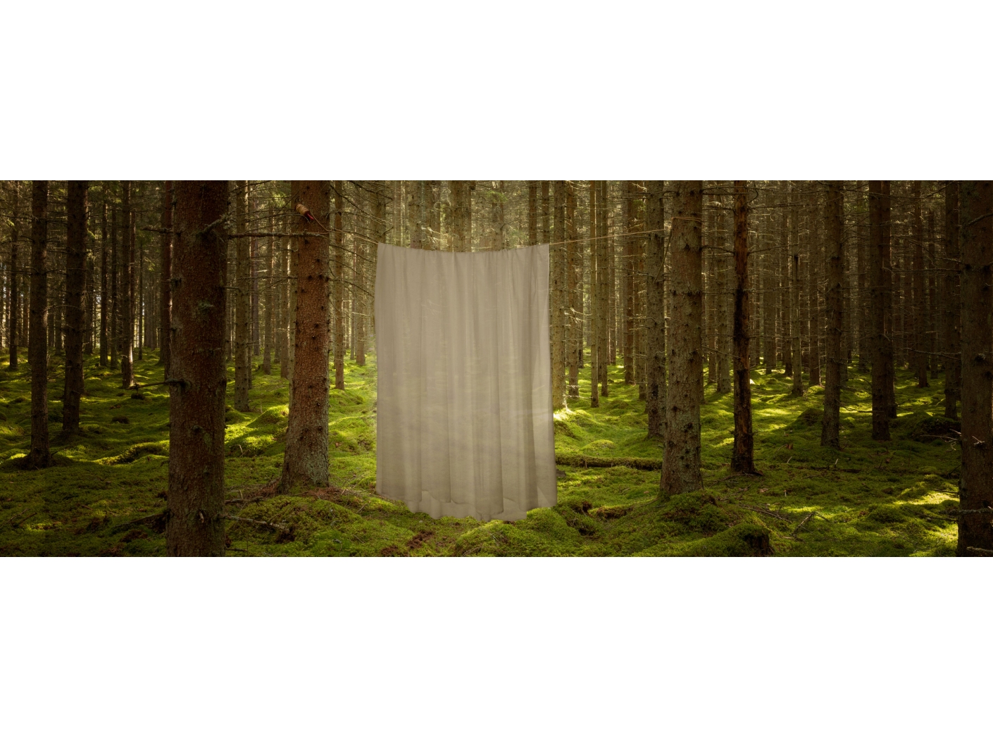 Kardinakangas Napoli CS FR 086 Fango 300 cm Kardinakangas Napoli CS FR 086 Fango 300 cm