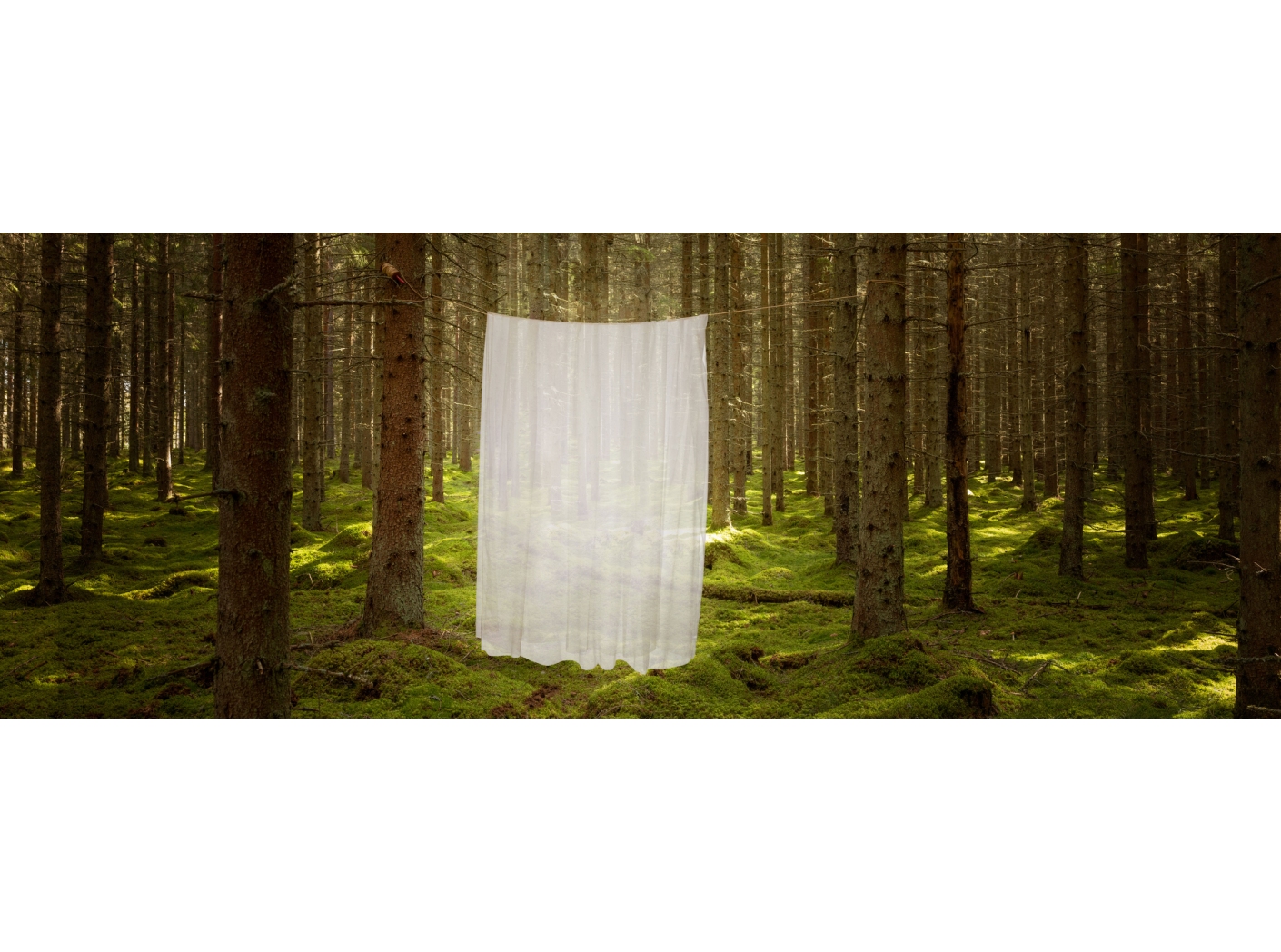 Kardinakangas Modena FR 100 Natural 300 cm Kardinakangas Modena FR 100 Natural 300 cm