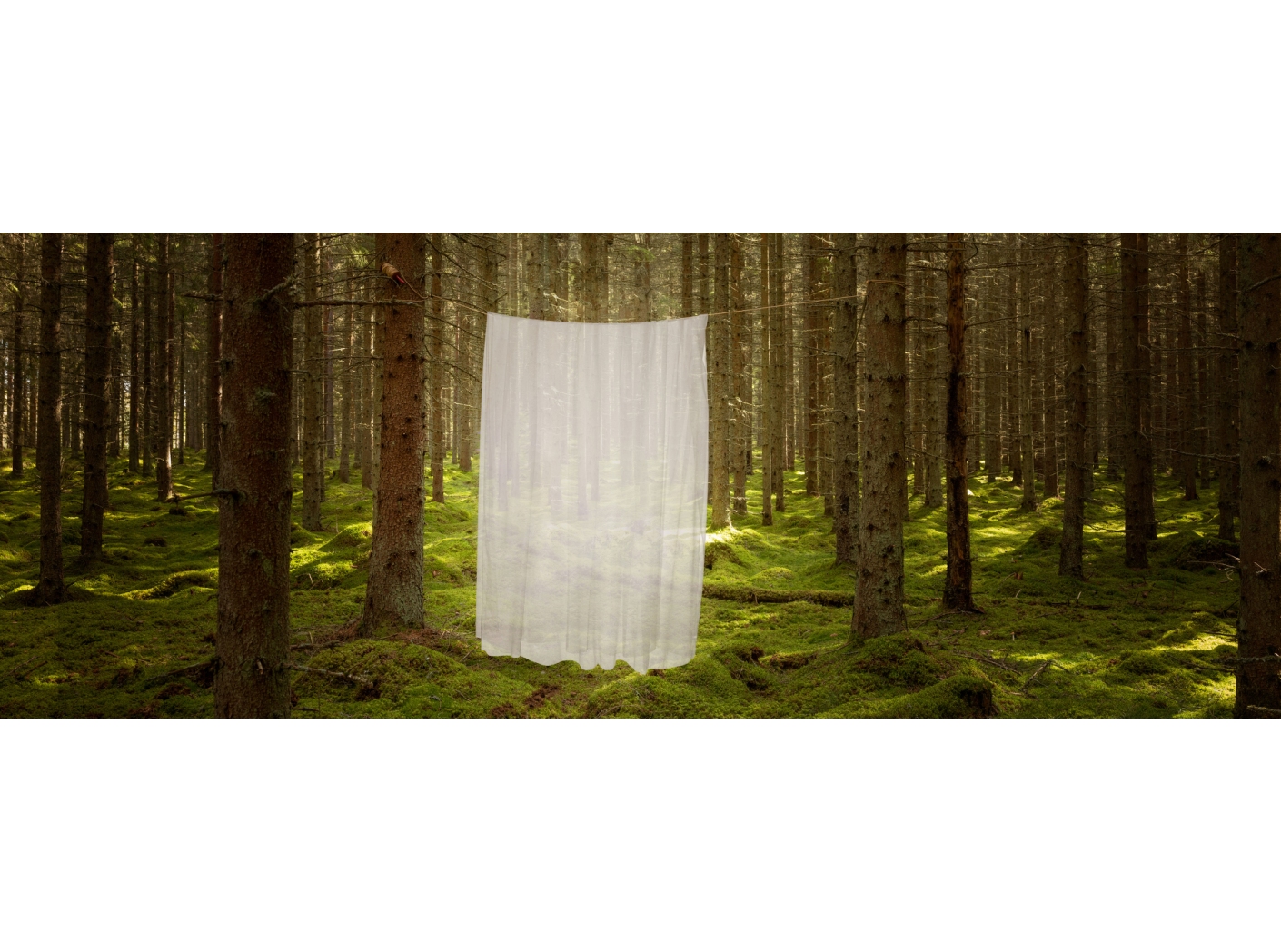 Kardinakangas Modena FR 120 Beige 300 cm Kardinakangas Modena FR 120 Beige 300 cm