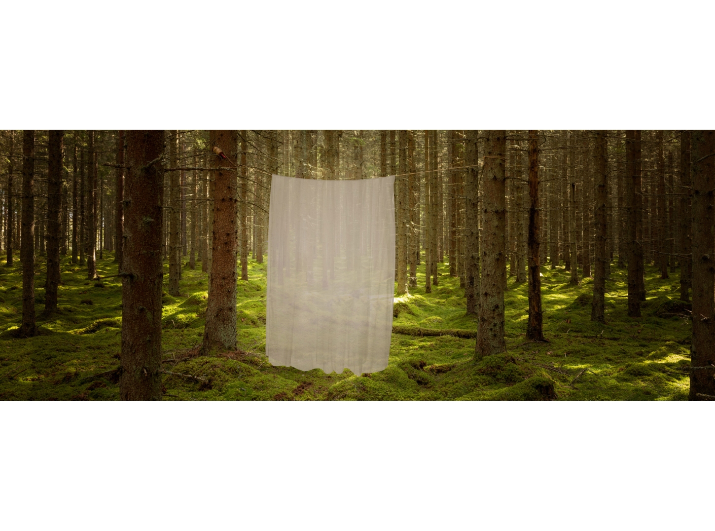 Kardinakangas Modena FR 124 Mastic 300 cm Kardinakangas Modena FR 124 Mastic 300 cm