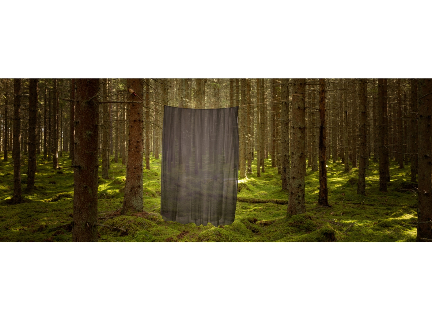 Kardinakangas Modena FR 125 Brown 300 cm Kardinakangas Modena FR 125 Brown 300 cm