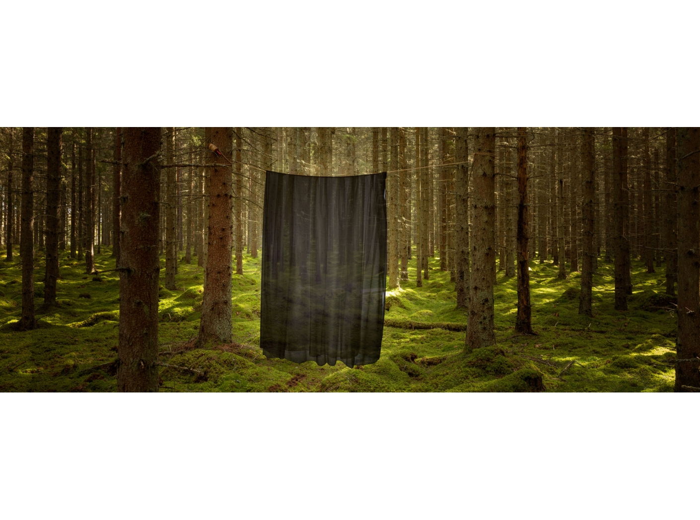 Kardinakangas Modena FR 199 Black 300 cm Kardinakangas Modena FR 199 Black 300 cm