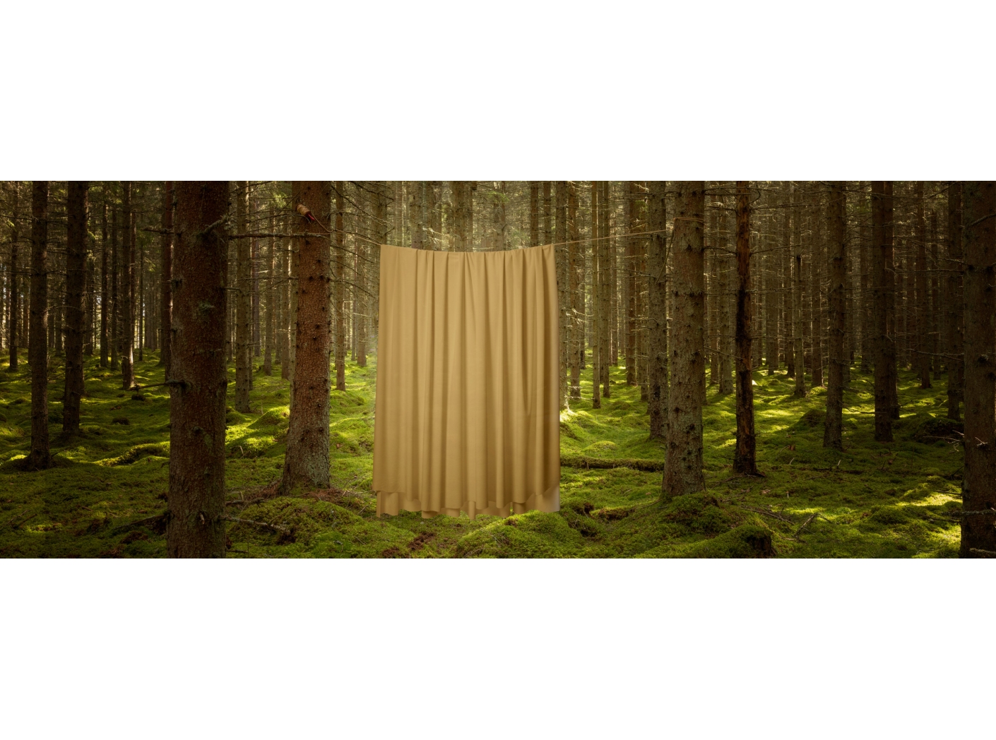 Kardin Roma Velvet FR 62 Mustard 300 cm Kardin Roma Velvet FR 62 Mustard 300 cm