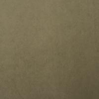 Mööblikangas Grand Lazio Velvet 0016 Light green