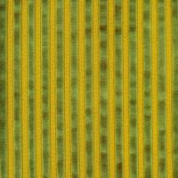 Mööblikangas Noblesse 3 roheline