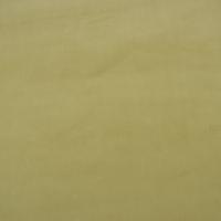 Mööblikangas Ritz 6057 pistaatsia