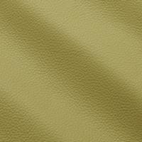 Mööblinahk Prescott EU 294 Lime
