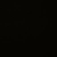 Markiisikangas Docril 00039 Black, 120cm