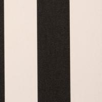 Markiisikangas Docril Stripe 00014 White/Black, 120cm