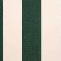 Markiisikangas Docril Stripe 00019 White/Forrest, 120cm
