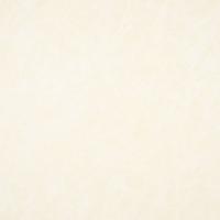 Kunstnahk Peri Egg shell 014943