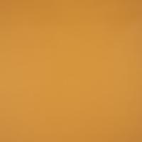 Kunstnahk Pallas 021608 Nature