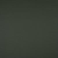 Kunstnahk Pallas 021606 Taiga