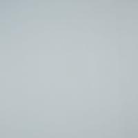 Kunstnahk Pallas 021609 Granite