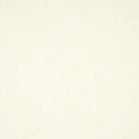 Kunstnahk Apollo 887, munakoor