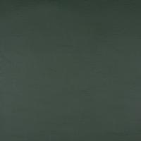 Kunstnahk Apollo 861, tumeroheline