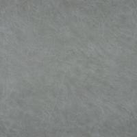 Kunstnahk Apollo 936, hall