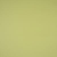 Kunstnahk Fjord 27 Wild lime