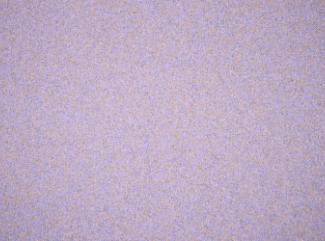 Mööblikangas Coco 9592 Lavender Mööblikangas Coco 9592 Lavender